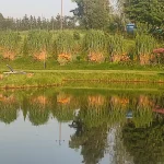Obiekt