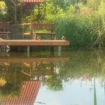 IMG_8721(1)