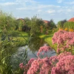 IMG_8807(2)