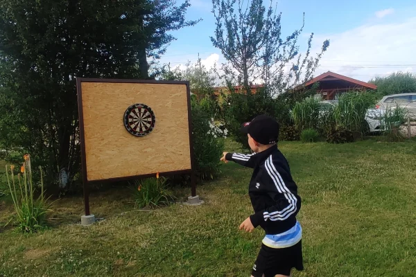 Dart